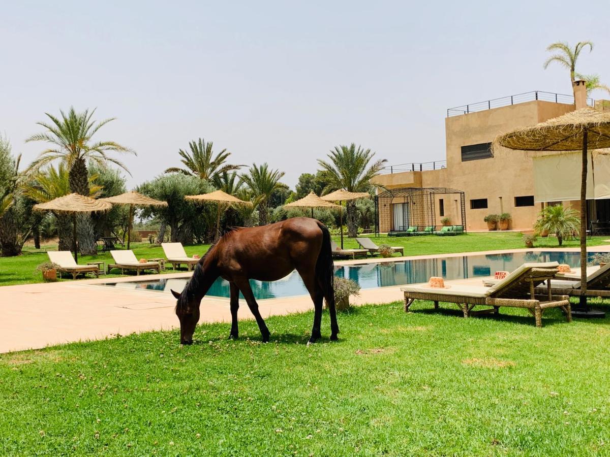 Marrakech Retreat 호텔 Srarhna 외부 사진