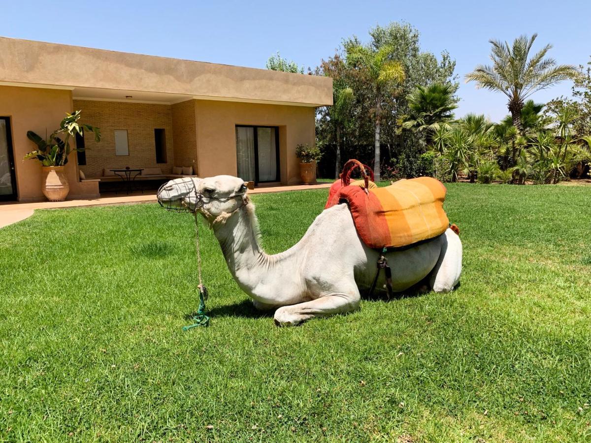 Marrakech Retreat 호텔 Srarhna 외부 사진